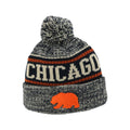 Chicago Bears Camber Bear Frosty Pom Knit Hat product image 1, provided for visual reference and product detail review