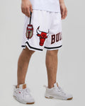 Chicago Bulls Logo Pro Team White Shorts product image 1, provided for visual reference and product detail review