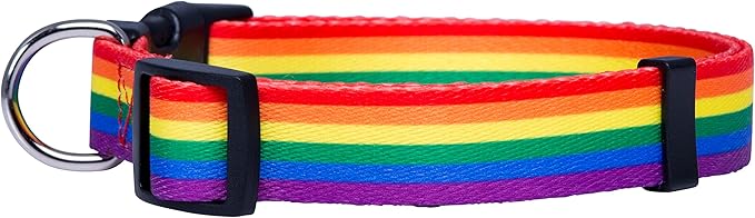 Pride Dog Collar product image 2, provided for visual reference and product detail review