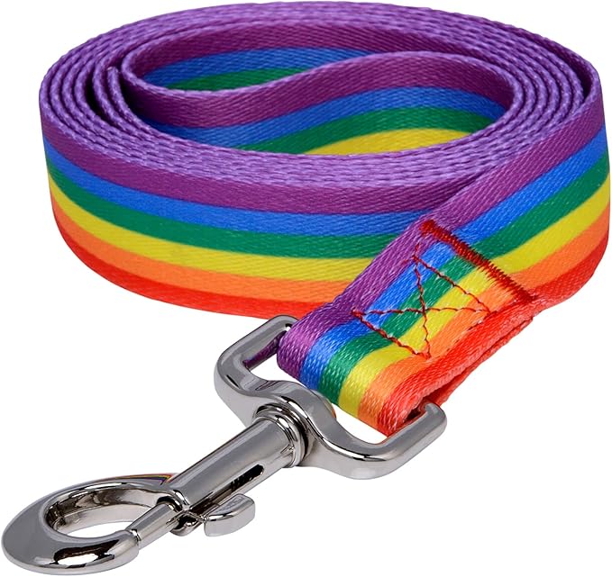Pride 1" Dog Leash product image 2, provided for visual reference and product detail review