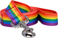 Pride 1" Dog Leash product image 1, provided for visual reference and product detail review