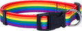 Pride Dog Collar product image 1, provided for visual reference and product detail review