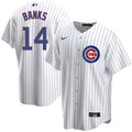 Ernie Banks Chicago Cubs Home Pinstripe Men Replica Jersey product image 1, provided for visual reference and product detail