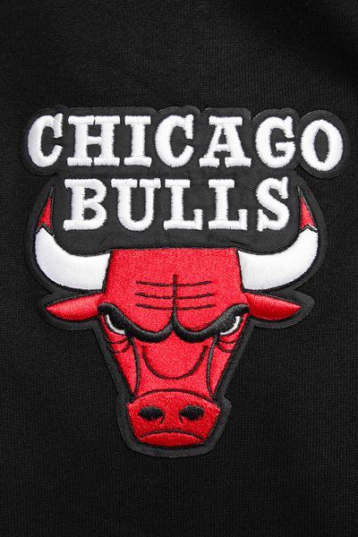Chicago Bulls Pro Standard Chi-Town Black Hoodie product image 4, provided for visual reference and product detail review