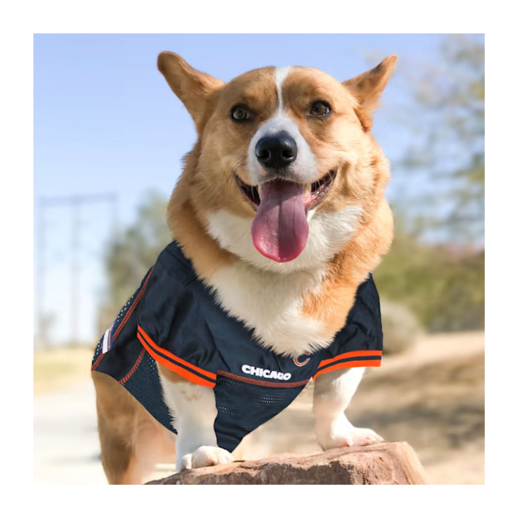 Chicago Bears Navy Pet Jersey product image 2, provided for visual reference and product detail review