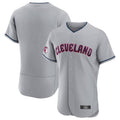 C.Guardians Blank Player Gray Vapor Premier Elite Baseball product image 1