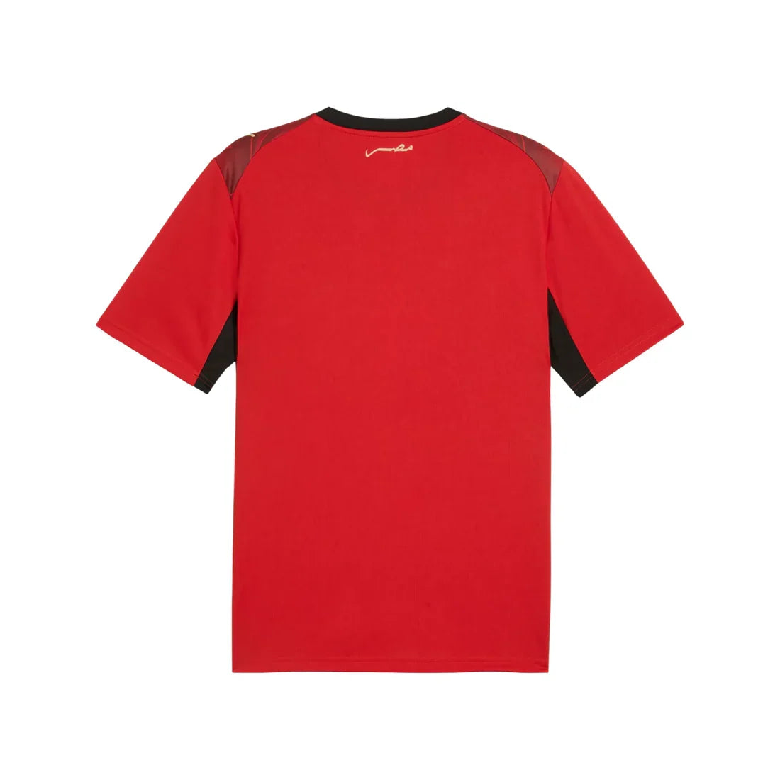 Egypt National Team FIFA Puma Youth Red 2026 Home Replica Jersey product image 2, provided for visual reference and product