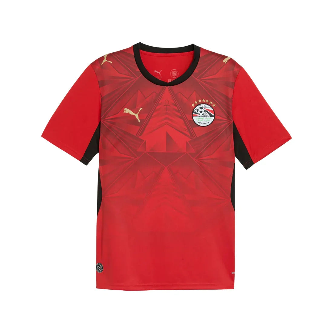 Egypt National Team FIFA Puma Youth Red 2026 Home Replica Jersey product image 1, provided for visual reference and product