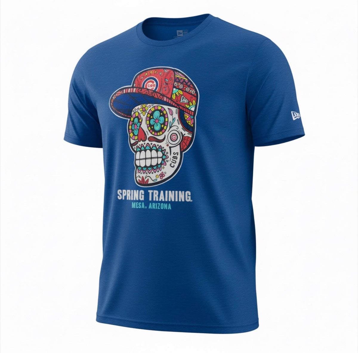 Chicago Cubs Skull Spring Training Mesa, AZ Royal New Era T-Shirt product image 1, provided for visual reference and product