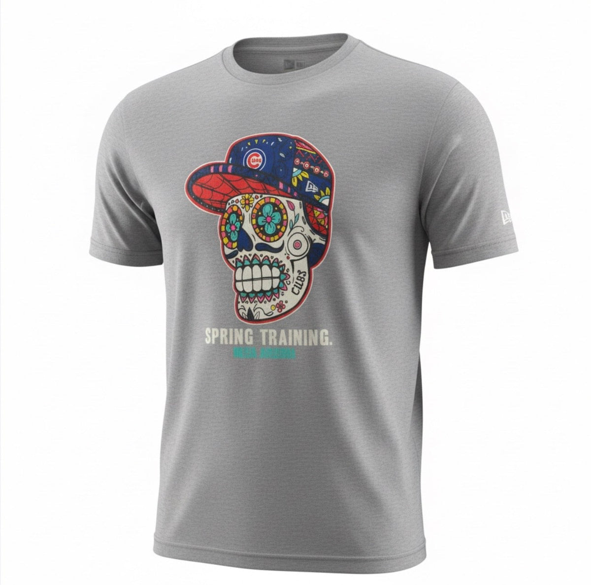 Chicago Cubs Skull Spring Training Mesa, AZ Grey New Era T-Shirt product image 1, provided for visual reference and product