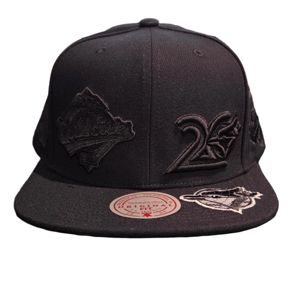 Toronto Blue Jays MLB Mitchell & Ness Men Black Blacked Out Snapback Hat product image 1, provided for visual reference and