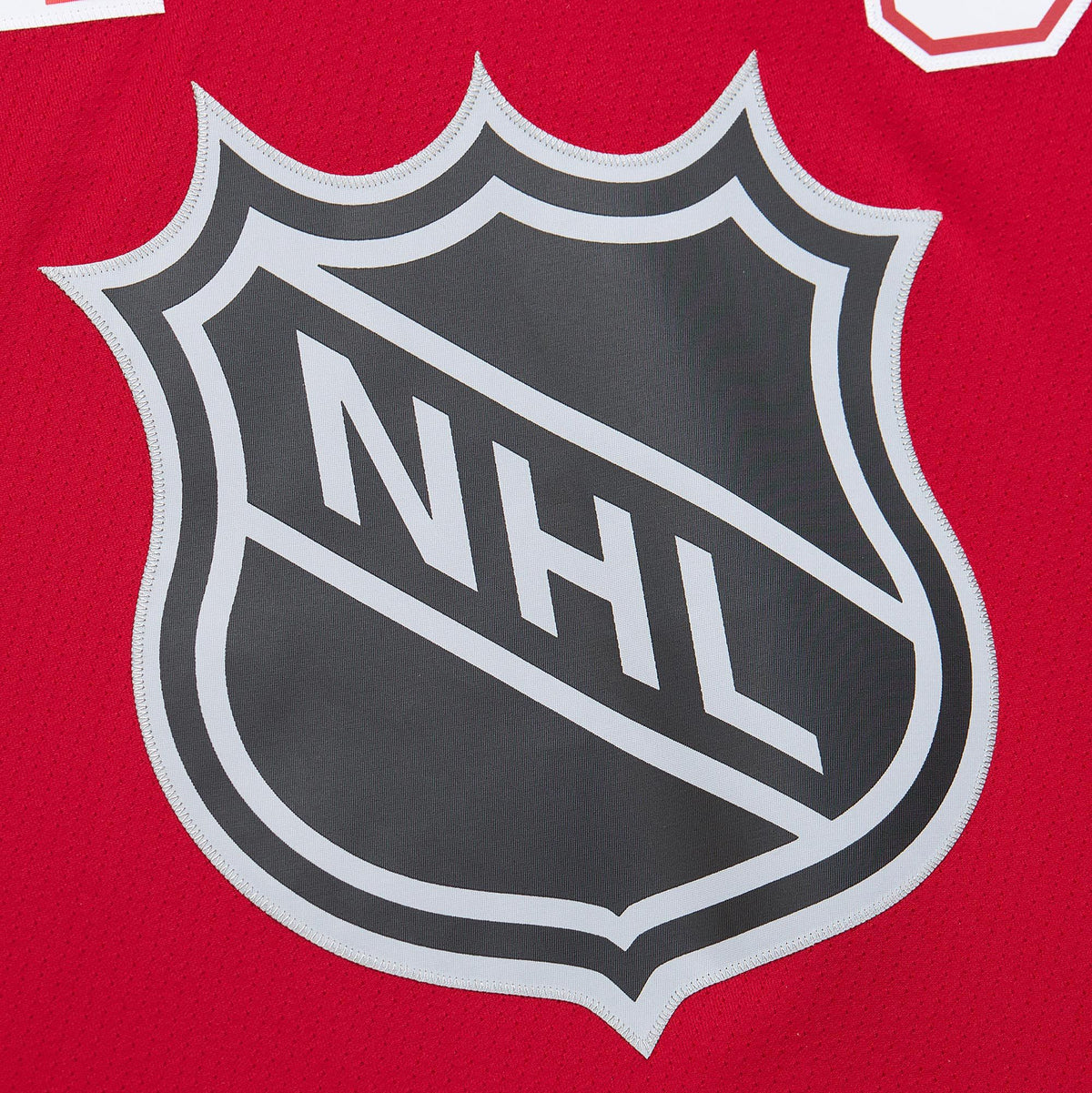 Wayne Gretzky NHL Mitchell & Ness Men Scarlet 1999 All Star Game Blue Line Authentic Jersey product image 7, provided for