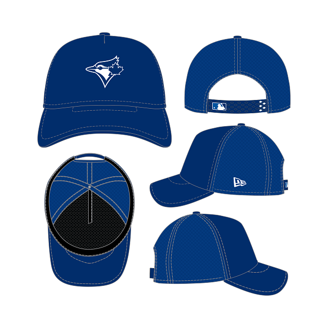 Toronto Blue Jays MLB New Era Men Blue Batting Practice 9Forty Apex Snapback Hat product image 1, provided for visual