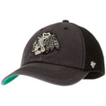 Chicago Blackhawks Grey and Black Primary Logo Franchise Fitted Hat product image 1, provided for visual reference and