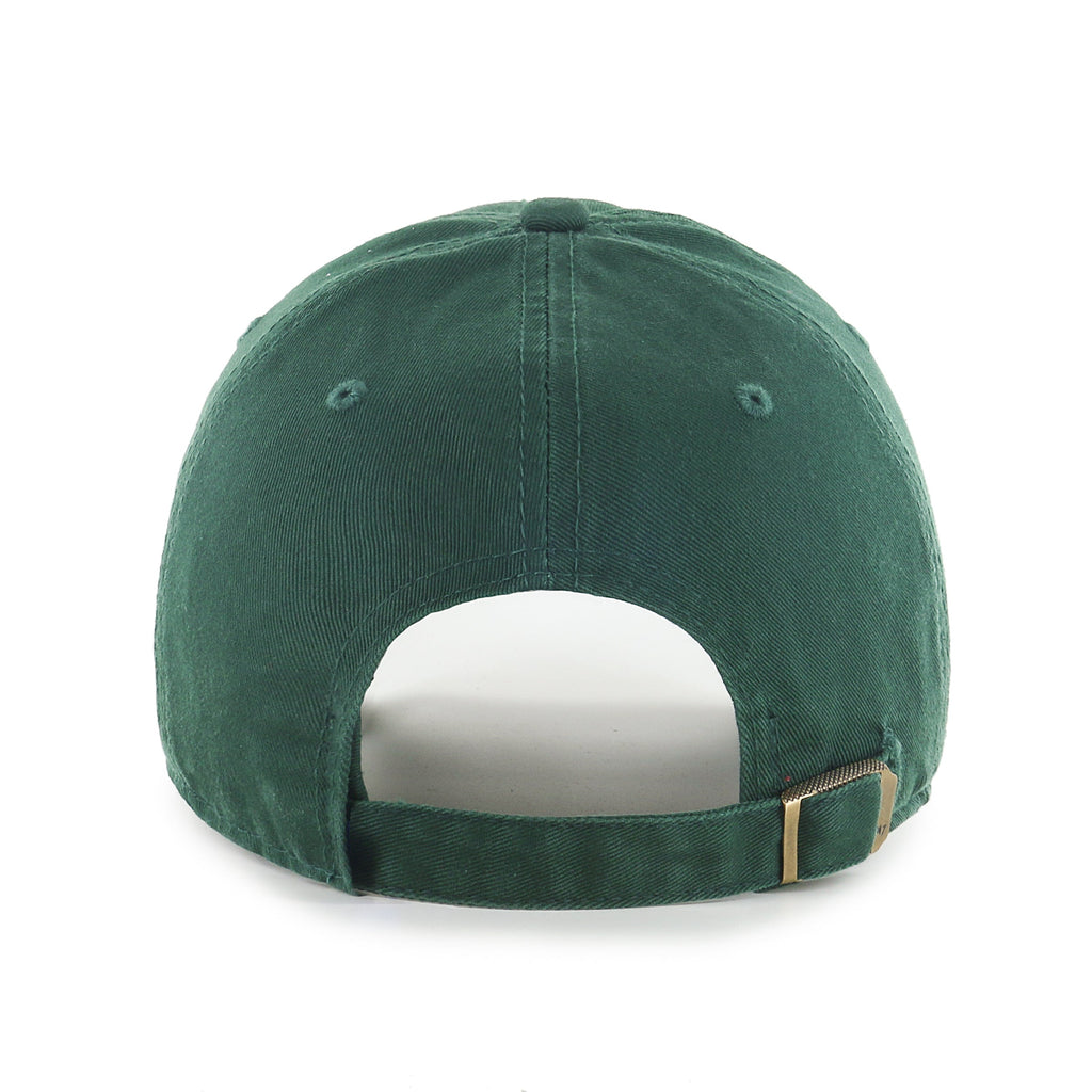 Chicago Cubs Dark Green Foul Balls Cleanup Hat product image 2, provided for visual reference and product detail review