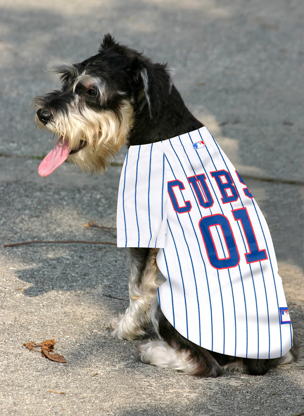 Chicago Cubs Pinstripe Dog Jersey product image 4, provided for visual reference and product detail review