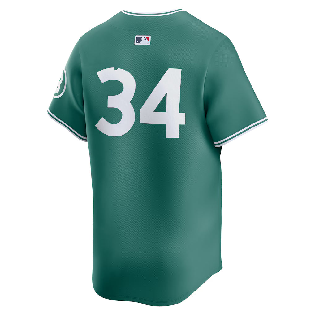 David Ortiz Boston Red Sox MLB Nike Men Green 2025 City Connect Limited Retired Player Jersey product image 2, provided for