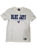 Toronto Blue Jays MLB New Era Beige Men Pinstripe City Connect T-Shirt product image 1, provided for visual reference and