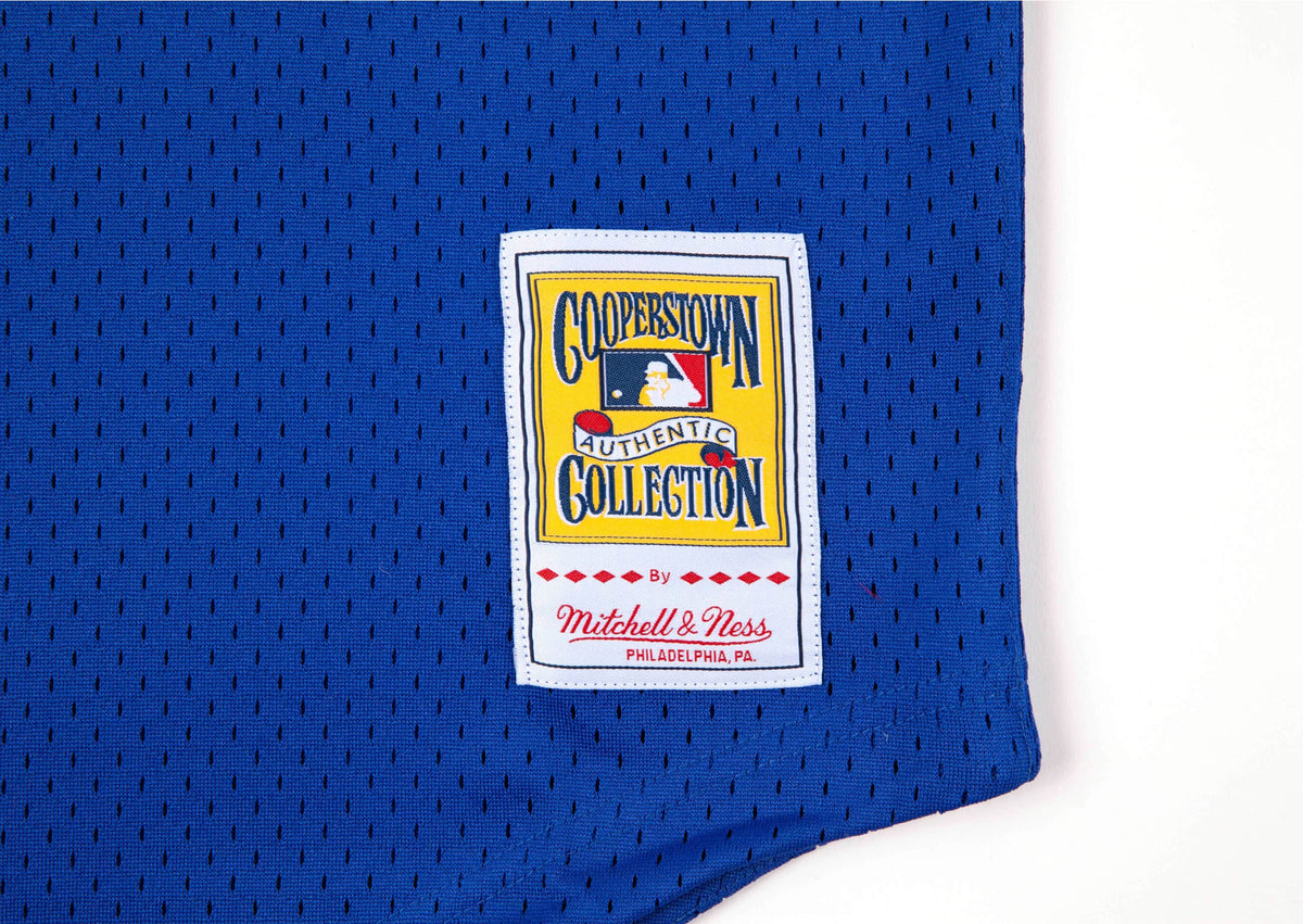 Joe Carter Toronto Blue Jays MLB Mitchell & Ness Men Royal Blue 1993 Authentic BP Jersey product image 3, provided for