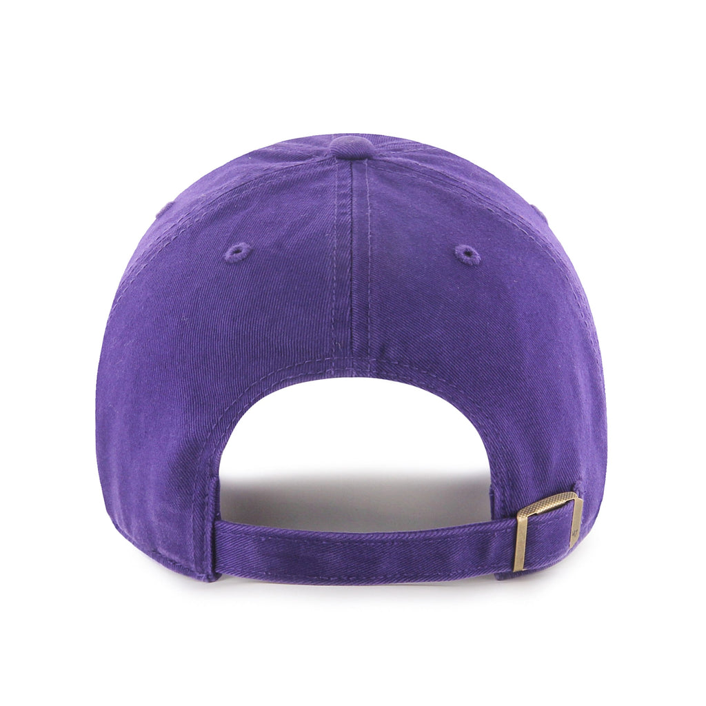 Blank 47 Brand Men Purple Clean Up Adjustable Hat product image 2, provided for visual reference and product detail review