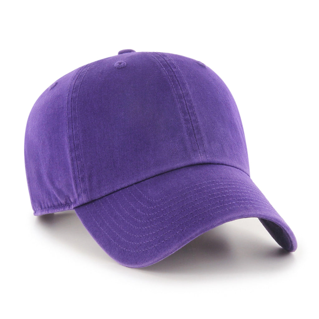 Blank 47 Brand Men Purple Clean Up Adjustable Hat product image 3, provided for visual reference and product detail review